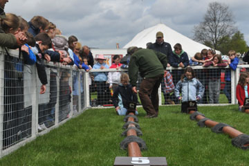 Ferret racing at Chatsworth