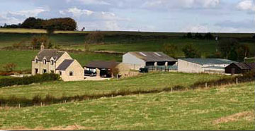 Flat Caps and Ferrets, Honeybank, Holestone Gate Road, Ashover, S45 0JS