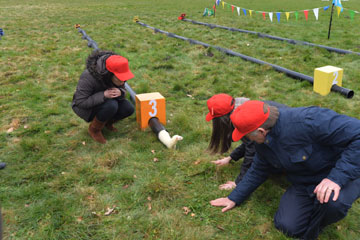 The red team ferret emerges