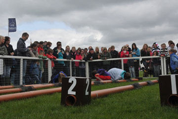 Ferret racing at Chatsworth - under way